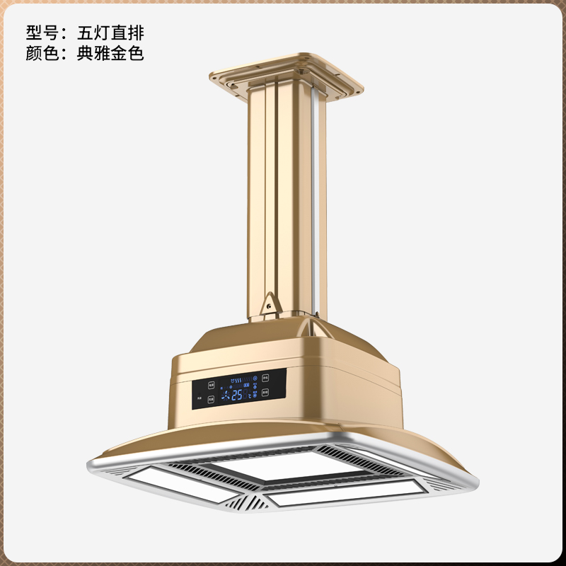 直排無(wú)耗材吸煙凈化燈5D-ZP